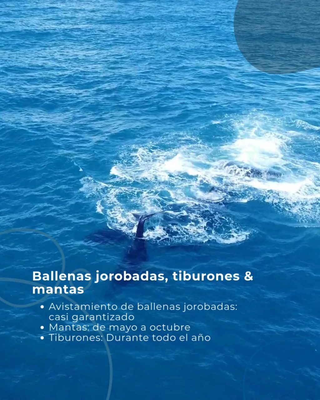 Instagram post from temoana_expeditions. This post is in position 2.