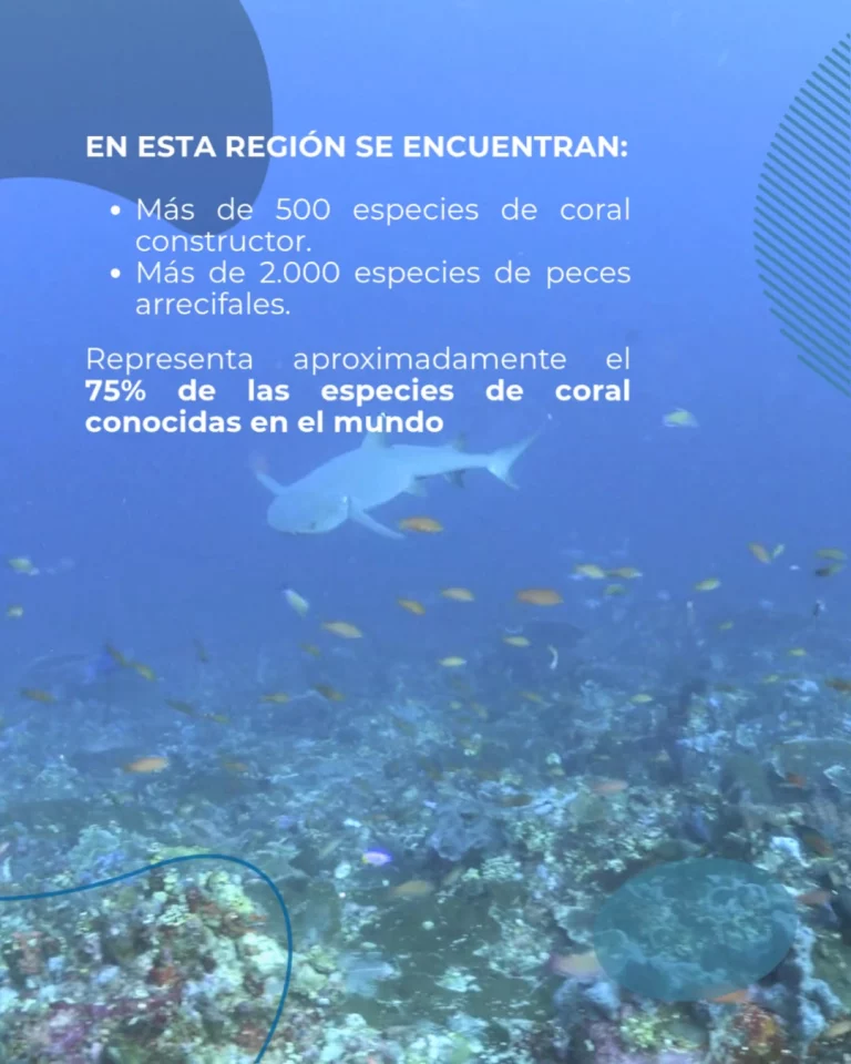 Instagram post from temoana_expeditions. This post is in position 3.