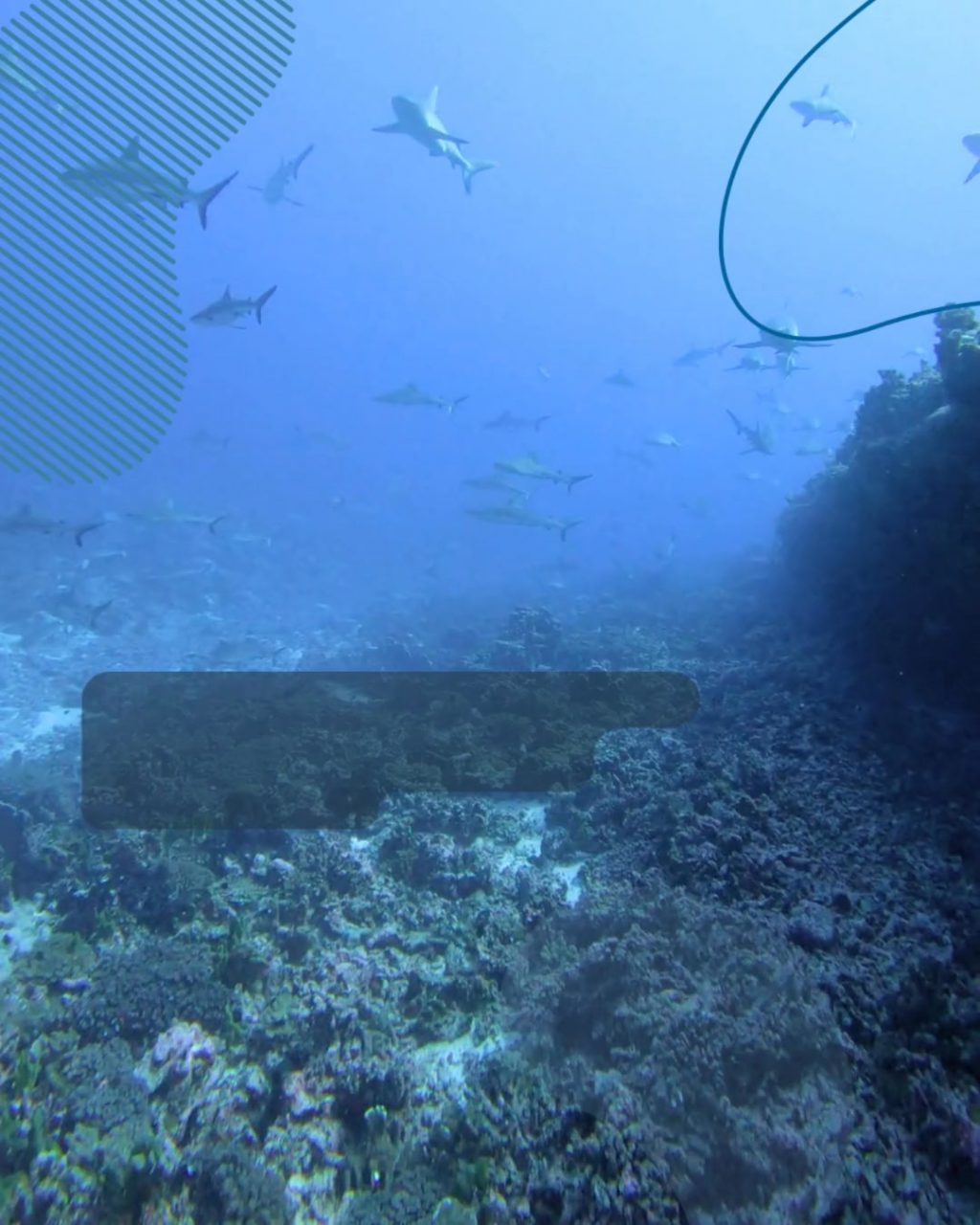 Instagram post from temoana_expeditions. This post is in position 4.