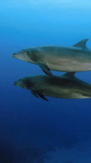 Instagram post from temoana_expeditions. This post is in position 1.