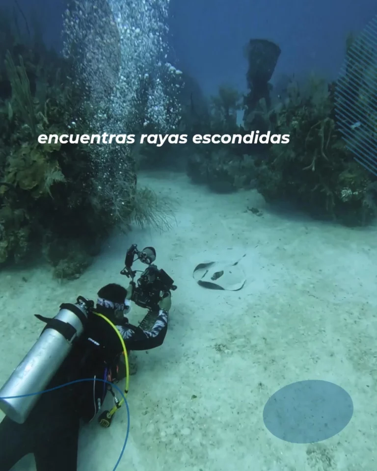 Instagram post from temoana_expeditions. This post is in position 3.