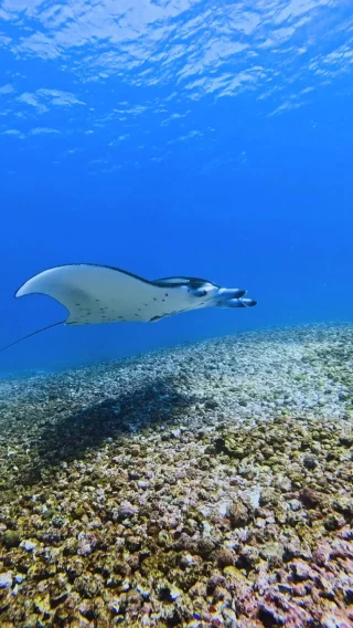 Instagram post from temoana_expeditions. This post is in position 1.