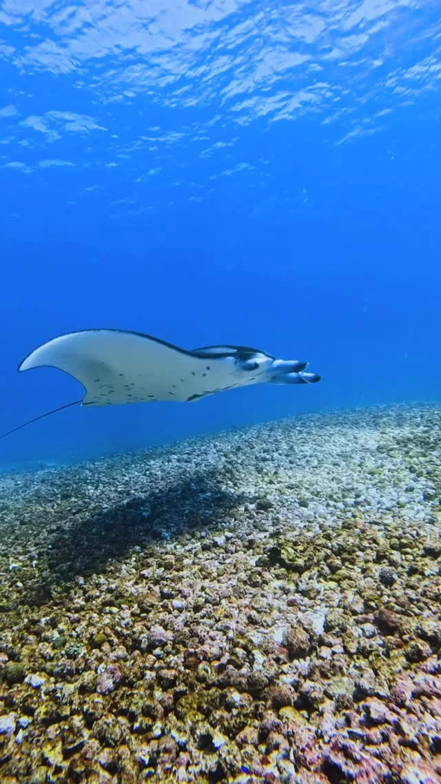 Instagram post from temoana_expeditions. This post is in position 0.