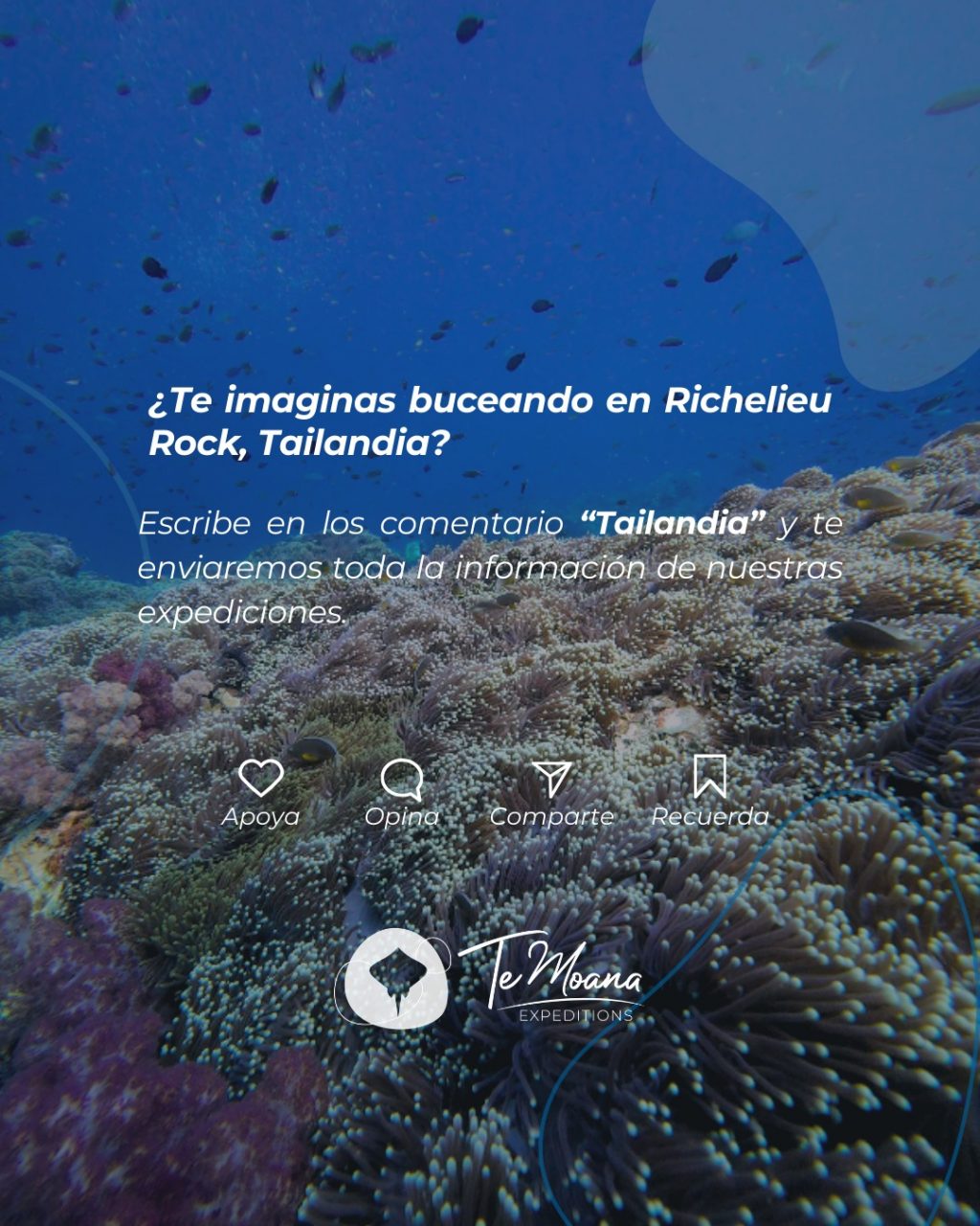 Instagram post from temoana_expeditions. This post is in position 6.