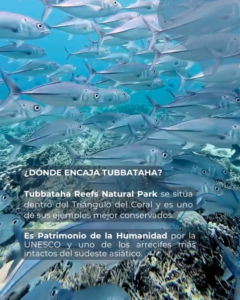 Instagram post from temoana_expeditions. This post is in position 6.