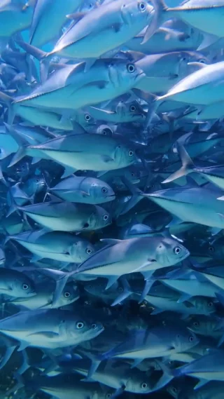 Instagram post from temoana_expeditions. This post is in position 8.