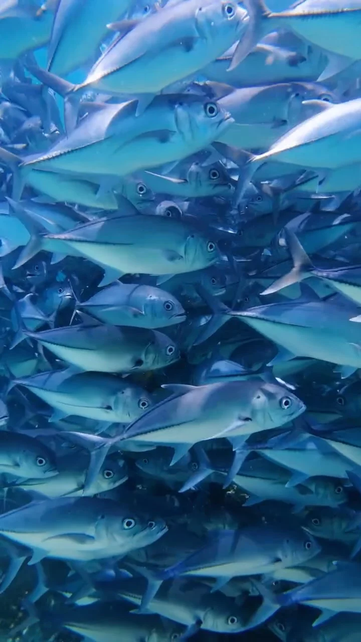 Instagram post from temoana_expeditions. This post is in position 7.