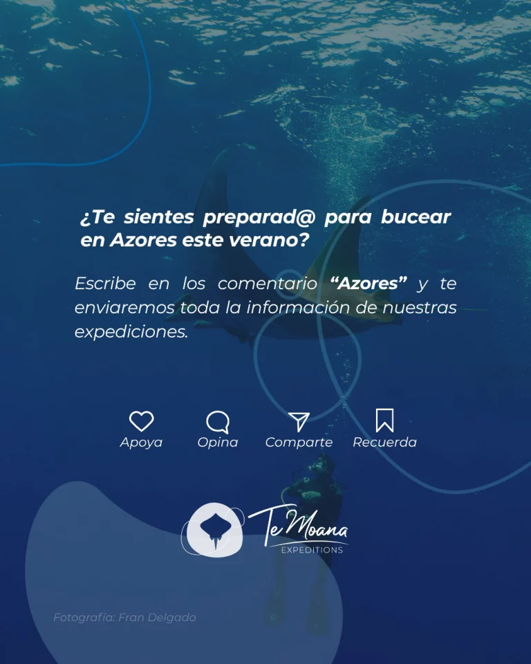 Instagram post from temoana_expeditions. This post is in position 5.