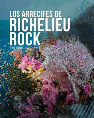 Instagram post from temoana_expeditions. This post is in position 12.