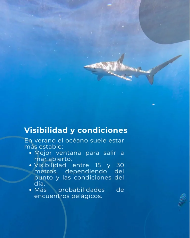 Instagram post from temoana_expeditions. This post is in position 2.