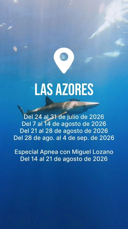 Instagram post from temoana_expeditions. This post is in position 0.