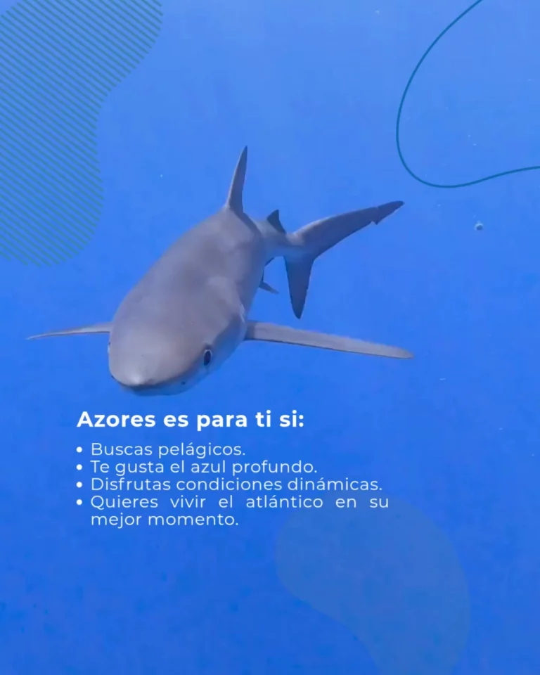 Instagram post from temoana_expeditions. This post is in position 4.