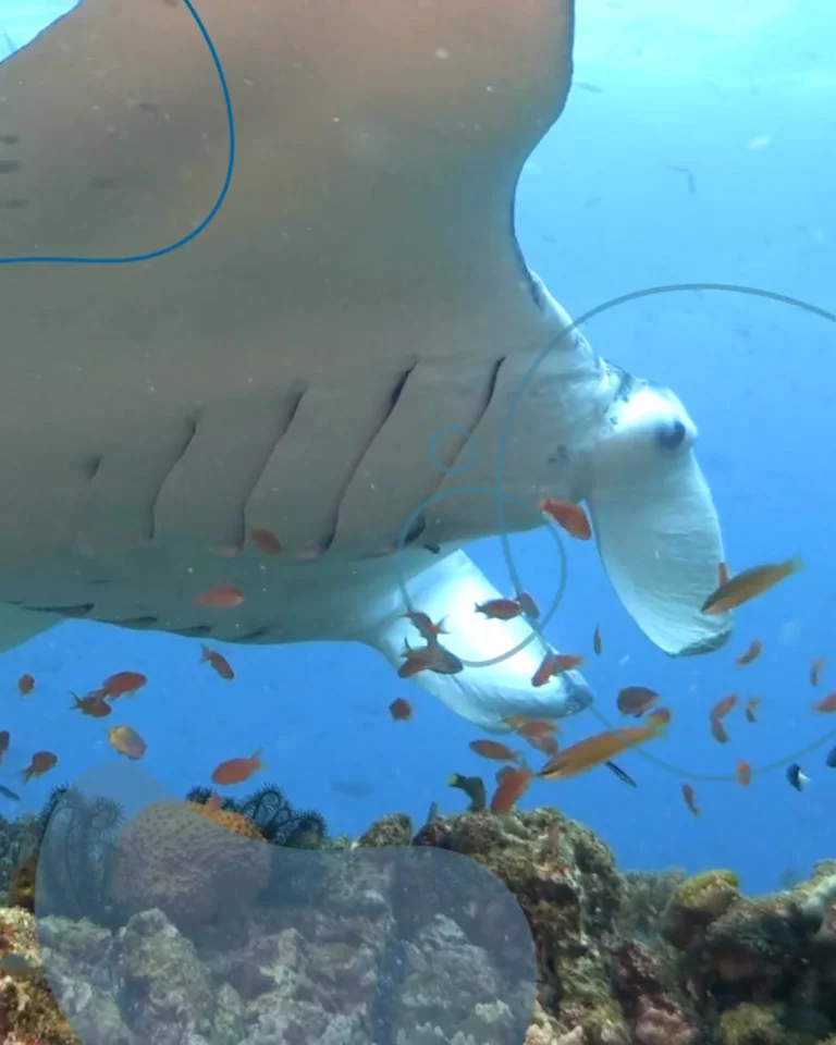 Instagram post from temoana_expeditions. This post is in position 5.