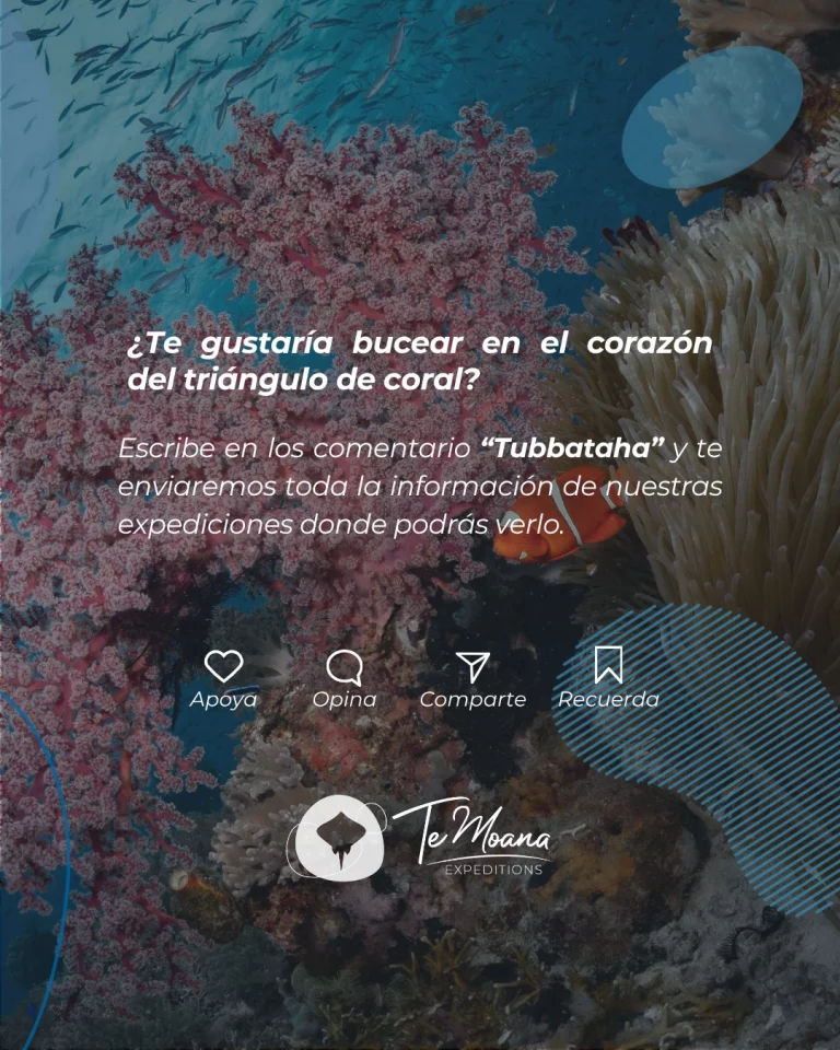 Instagram post from temoana_expeditions. This post is in position 7.